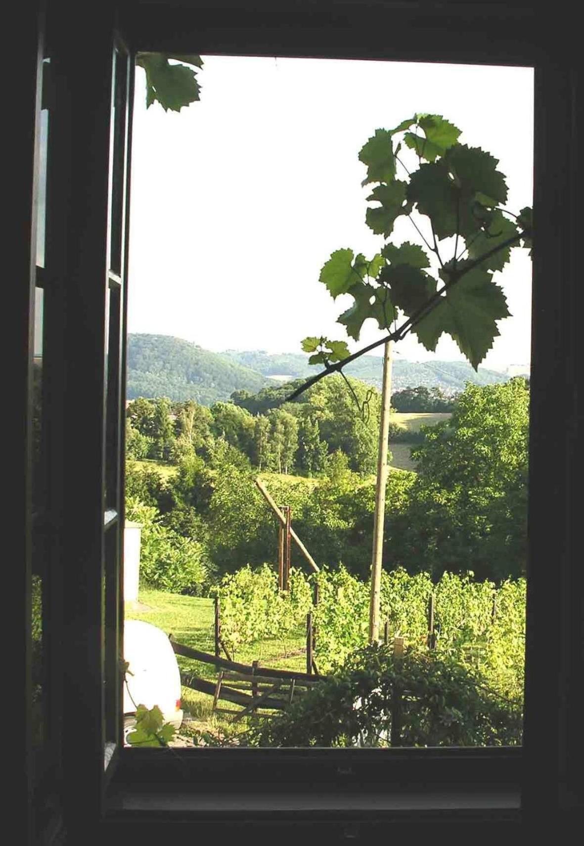 In Der Alten Weinstube Фрайтал Екстериор снимка